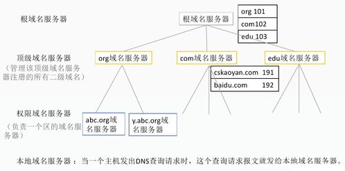 应用层 计算机网络技术开发的基石与前沿