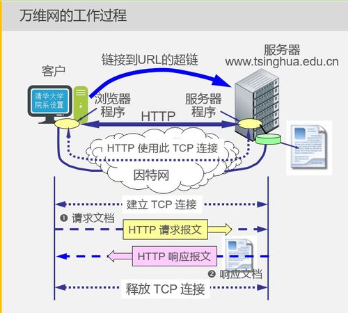 《计算机网络》（谢希仁第五版）期末复习指南 计算机网络技术开发视角
