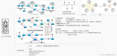 北邮计算机网络技术开发课程网络层学习笔记
